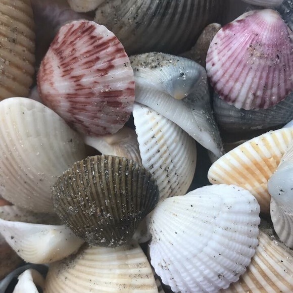 Hey and welcome to my closet! - Picture 4 of 5